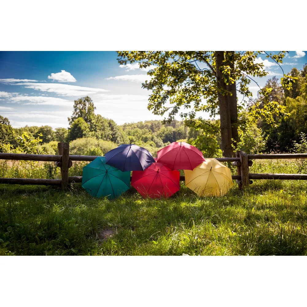 Regenschirm, automatisch | Hayden – Bild 4